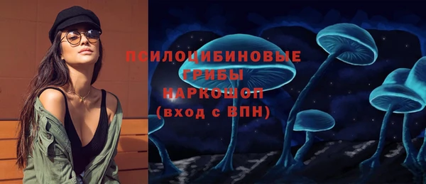 стафф Алексин