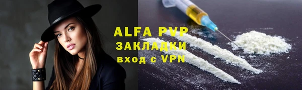 стафф Алексин