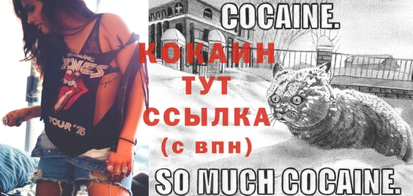 стафф Алексин