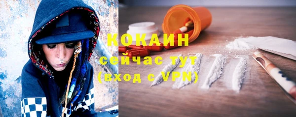 молекула духа Алзамай